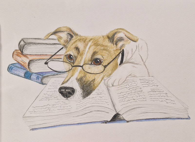 "Belloquent" Carolin Polkowski