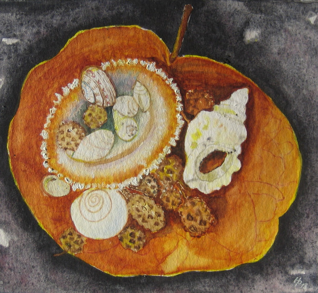 Klick öffnet Bildbetrachter; Muscheln