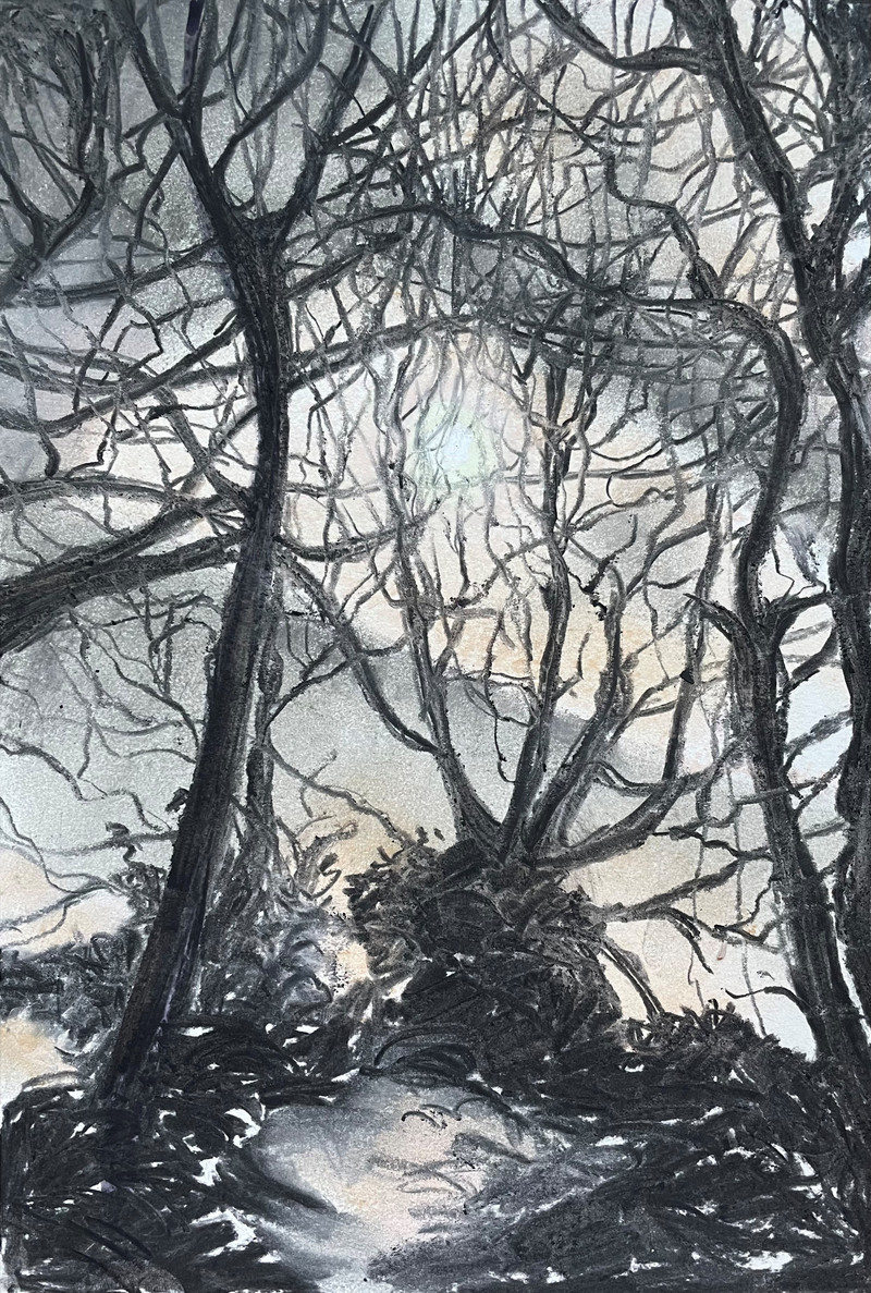 „Mond überm Land“ Marlis Konrad