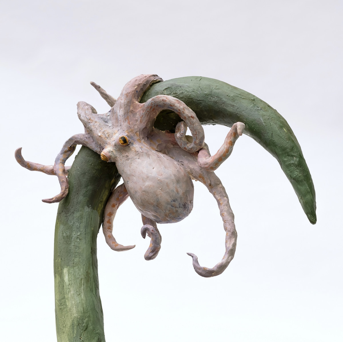 Klick öffnet Bildbetrachter; Oktopus