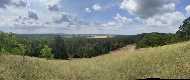 Gemeinde Milower Land, OT Milow, Milower Berg (Juni 2023)