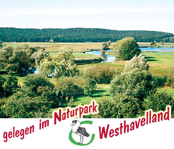 Unter dem Wappen der Gemeinde Milower Land und dem Link zur Homepage befindet sich das Titelbild der Milower Webseite. Es zeigt die Stremmelandschaft bei Milow mit dem Schriftzug: Gelegen im Naturpark Westhavelland.