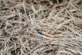 Achtlos weggeworfene Zigarette, Foto: istock, Paul Burton