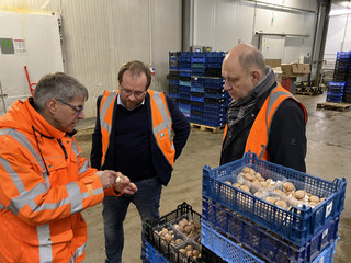Landrat Roger Lewandowski (rechts) und Nauens Bürgermeister Manuel Meger (Mitte) bei ihrem Besuch in der Dohme Pilzzucht GmbH in Tietzow.