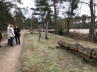 Klick öffnet Bildbetrachter; 