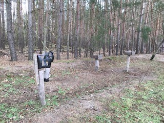 Klick öffnet Bildbetrachter; 