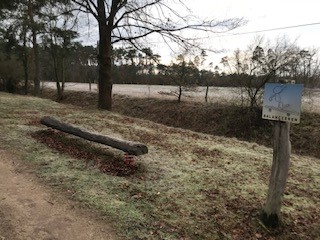 Klick öffnet Bildbetrachter; 