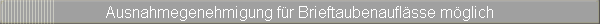 Ausnahmegenehmigung fr Brieftaubenauflsse mglich