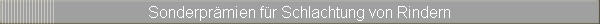 Sonderprmien fr Schlachtung von Rindern
