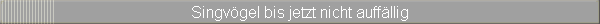 Singvgel bis jetzt nicht auffllig