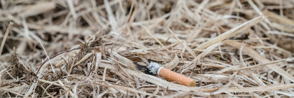 Achtlos weggeworfene Zigarette, Foto: istock, Paul Burton