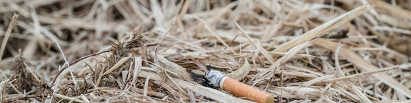 Achtlos weggeworfene Zigarette, Foto: istock, Paul Burton