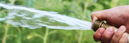 Eine Hand hält Schlauch und wässert damit den Garten.