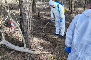 Zwei Personen in weißen Schutzanzügen üben die Desinfektion eines möglichen Fundortes in einem Waldstück.