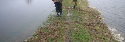Der Deich am Mühlenrhin, kurz vor der gebrochenen <br />Stelle. Auch hier droht das Überfließen.