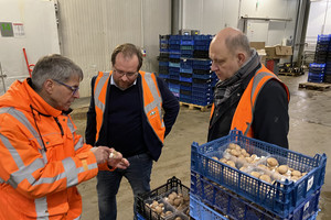 Landrat Roger Lewandowski (rechts) und Nauens Bürgermeister Manuel Meger (Mitte) bei ihrem Besuch in der Dohme Pilzzucht GmbH in Tietzow.