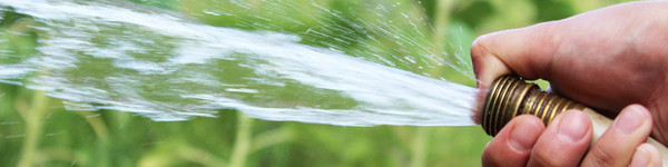 Eine Hand hält Schlauch und wässert damit den Garten.