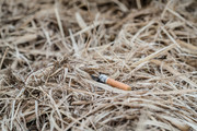 Achtlos weggeworfene Zigarette, Foto: istock, Paul Burton