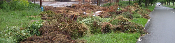 So stellte sich die Lage vor dem Silo am Donnerstag, dem 28. Mai 2009, dar. Inzwischen sind die Abfälle beseitigt.