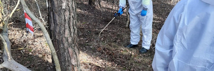 Zwei Personen in weißen Schutzanzügen üben die Desinfektion eines möglichen Fundortes in einem Waldstück.