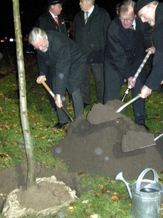 Gemeinsam setzten Landrat Dr. Burkhard Schröder, Ministerialdirektor Josef Huber und der Kreistagsvorsitzende Jürgen Bigalke (v.li.) den bayrischen Birnenbaum in die märkische Erde.