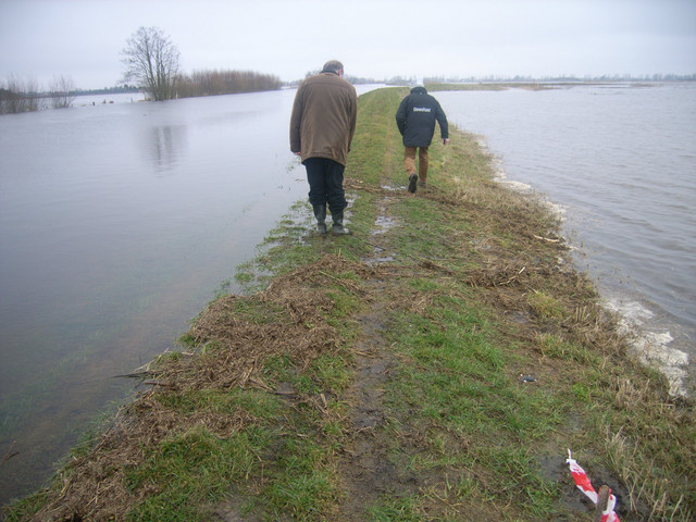 Der Deich am Mühlenrhin, kurz vor der gebrochenen <br />Stelle. Auch hier droht das Überfließen.