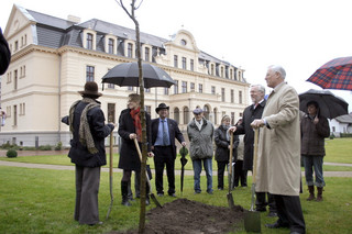 "Wachse und gedeihe" - mit diesem Wunsch setzten Ministerialdirektor Dr. Albrecht Rittmann (vorn re.) und Landrat Dr. Burkhard Schröder die "Stuttgarter Geißhirtle" im Deutschen Birnengarten von Ribbeck.